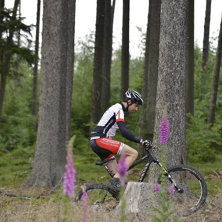 Szálloda Landidyll Restaurant Birkenhof Klosterkumbd
