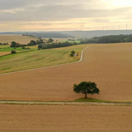 Hotel Landidyll Restaurant Birkenhof