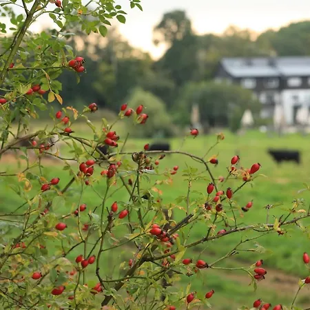 Landidyll Restaurant Birkenhof