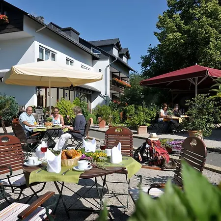 Hotel Landidyll Restaurant Birkenhof 4*
