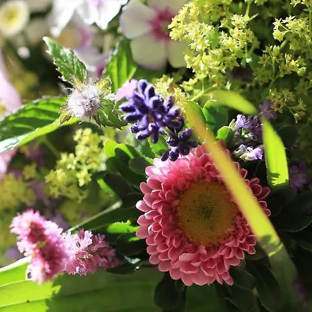 Szálloda Landidyll Restaurant Birkenhof Klosterkumbd