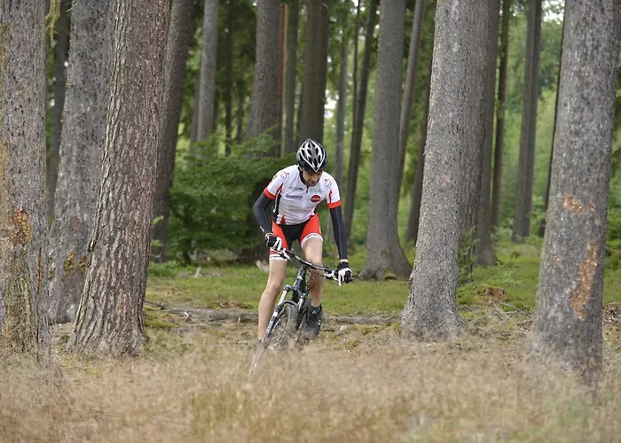 Landidyll Restaurant Birkenhof 4*