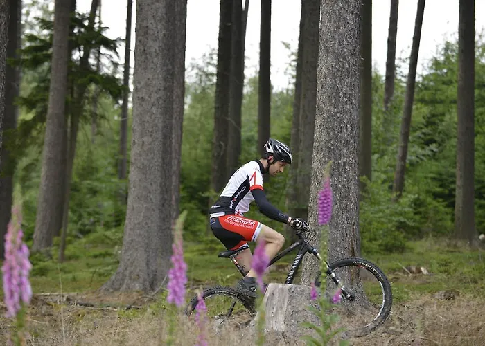 Ξενοδοχείο Landidyll Restaurant Birkenhof Klosterkumbd