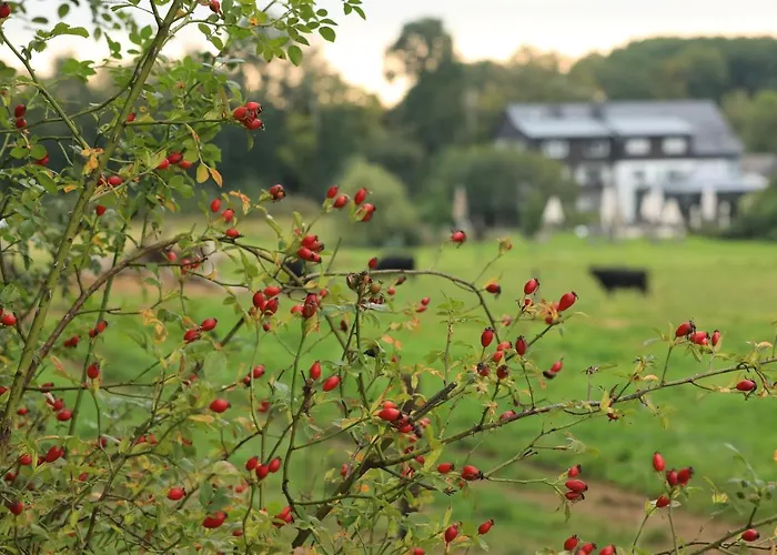 Landidyll Restaurant Birkenhof
